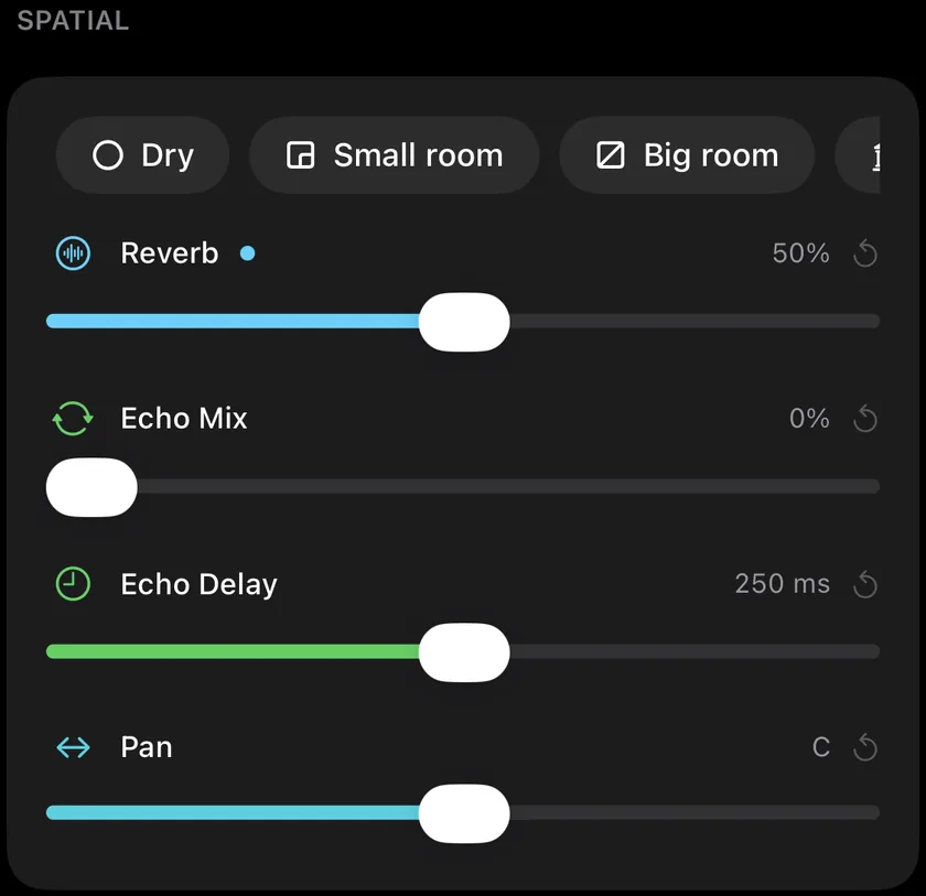 The Spatial card in Videcho: room presets, Reverb, Echo Mix, Echo Delay and Pan