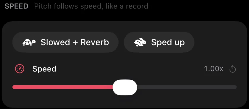 The Speed section in Videcho: the chips Slowed + Reverb and Sped up and the Speed slider at 1.00x